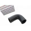 Tuyau, ventilation de carter-moteur AUTOMEGA 130123010 - Visuel 1