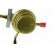 Pompe à carburant AUTOMEGA 140009610 - Visuel 3