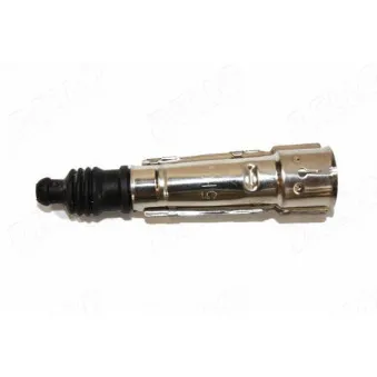 Fiche, bougie d'allumage AUTOMEGA 150024210