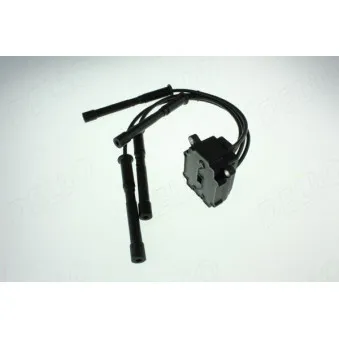 Bobine d'allumage AUTOMEGA 150063310