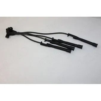 Kit de câbles d'allumage AUTOMEGA 150066510