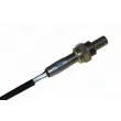 Sonde lambda AUTOMEGA 150078310 - Visuel 3