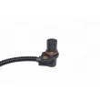Capteur d'angle, vilebrequin AUTOMEGA 150082810 - Visuel 3