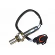 Sonde lambda AUTOMEGA 150087810 - Visuel 2