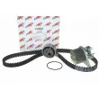 Pompe à eau + kit de courroie de distribution AUTOMEGA 160003210 - Visuel 1