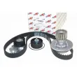 Pompe à eau + kit de courroie de distribution AUTOMEGA 160003610 - Visuel 1