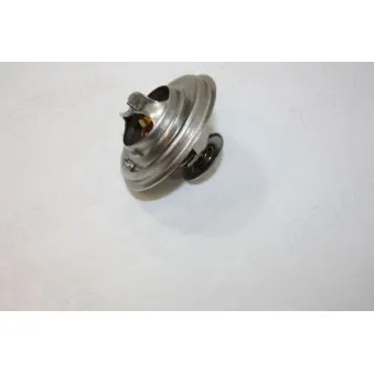 Thermostat d'eau AUTOMEGA 160024510