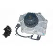 Pompe à eau AUTOMEGA 160025710 - Visuel 2