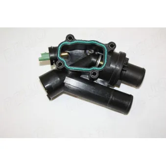 Thermostat d'eau AUTOMEGA 160025910
