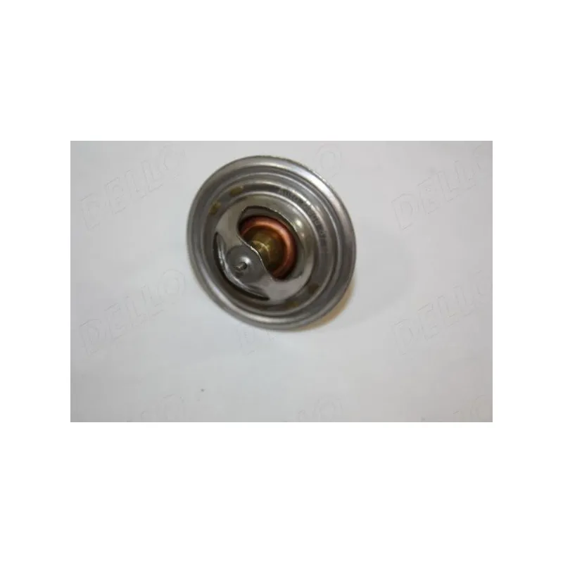 Thermostat d'eau AUTOMEGA 160028110