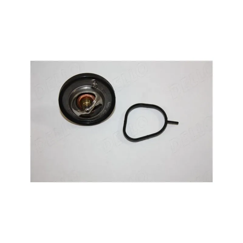 Thermostat d'eau AUTOMEGA 160028710