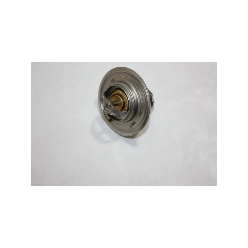 Thermostat d'eau AUTOMEGA 160030210