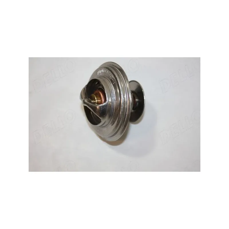 Thermostat d'eau AUTOMEGA 160032410