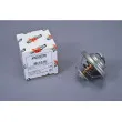 Thermostat d'eau AUTOMEGA 160032710 - Visuel 1