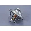 Thermostat d'eau AUTOMEGA 160032710 - Visuel 2