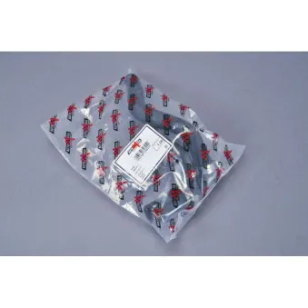 Durite de radiateur AUTOMEGA 160034010
