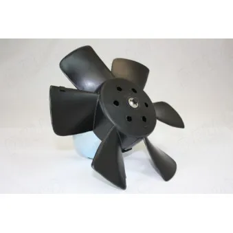 Moteur électrique, ventilateur pour radiateurs AUTOMEGA 160036510