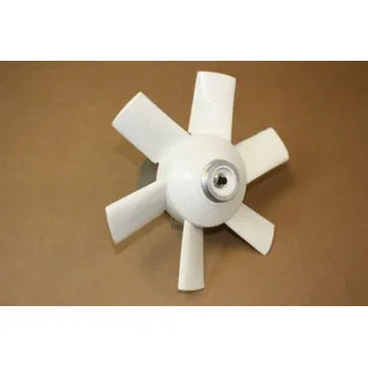 Ventilateur, refroidissement du moteur AUTOMEGA 160036810
