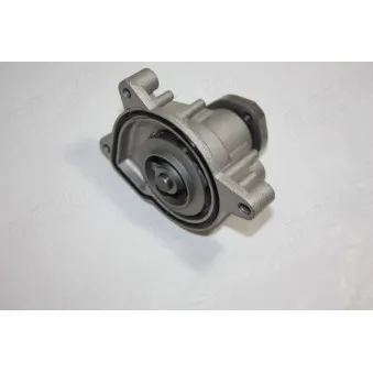 Pompe à eau AUTOMEGA 160038810