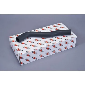Durite de radiateur AUTOMEGA 160041510