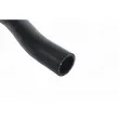 Durite de radiateur AUTOMEGA 160041510 - Visuel 3
