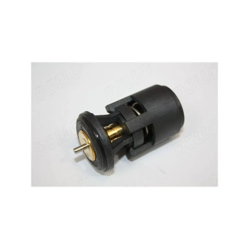 Thermostat d'eau AUTOMEGA 160044810