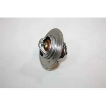 Thermostat d'eau AUTOMEGA 160044910
