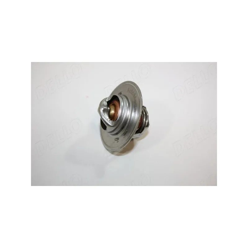 Thermostat d'eau AUTOMEGA 160044910