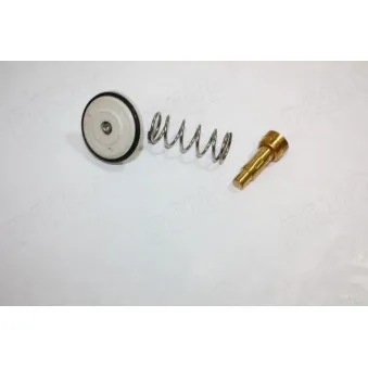 Thermostat d'eau AUTOMEGA