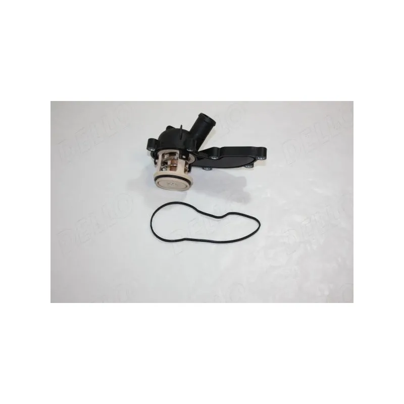 Thermostat d'eau AUTOMEGA 160046610