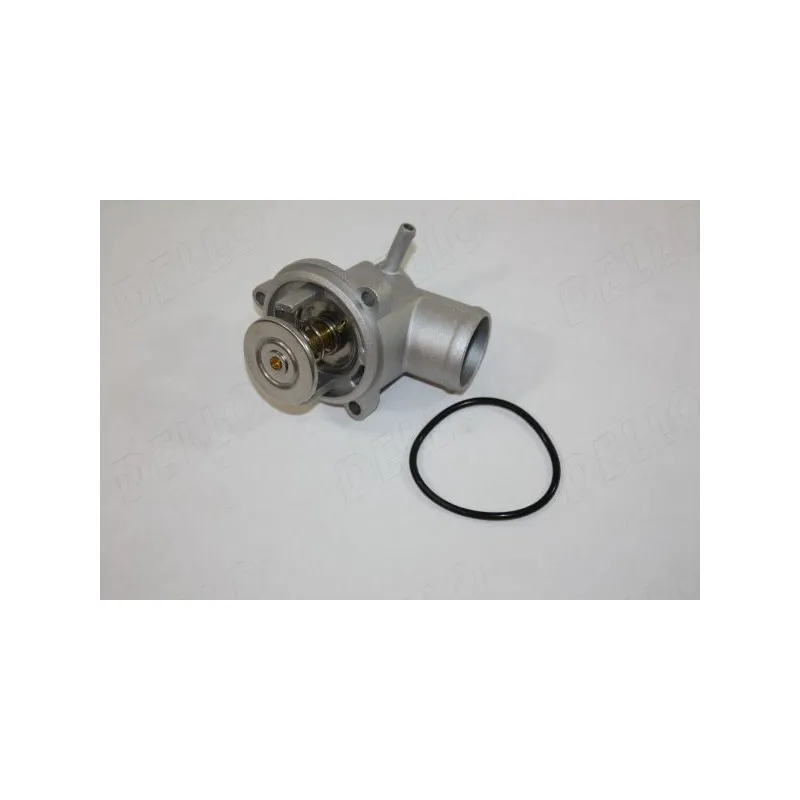 Thermostat d'eau AUTOMEGA 160046910