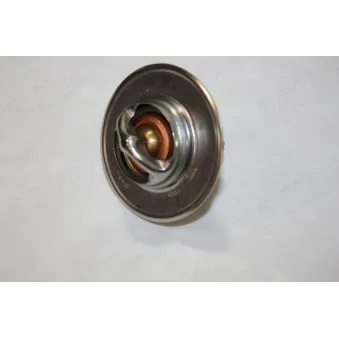 Thermostat d'eau AUTOMEGA 160047110
