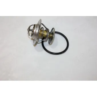 Thermostat d'eau AUTOMEGA