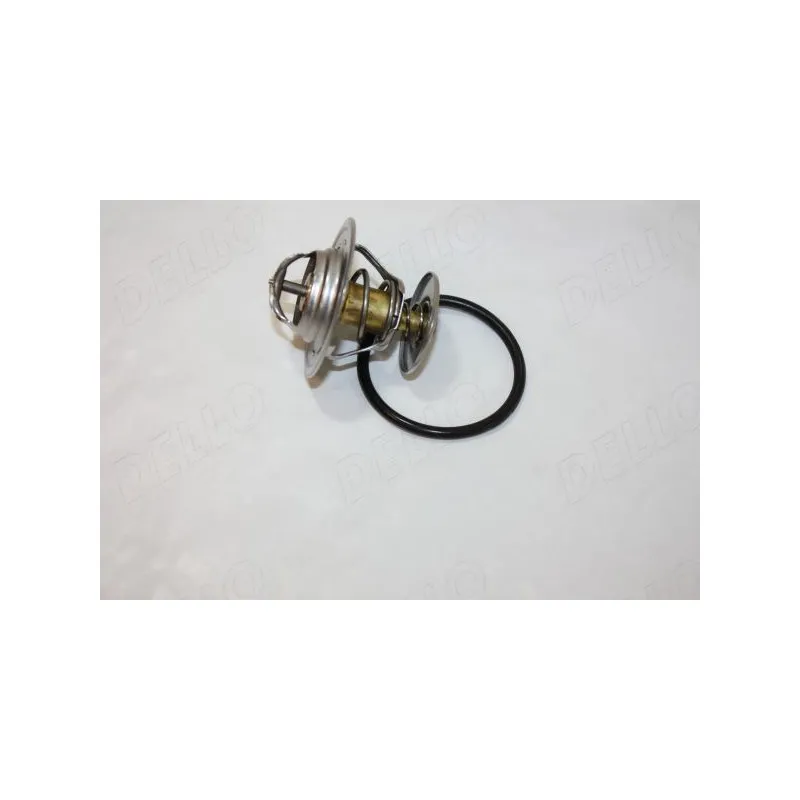 Thermostat d'eau AUTOMEGA 160047210