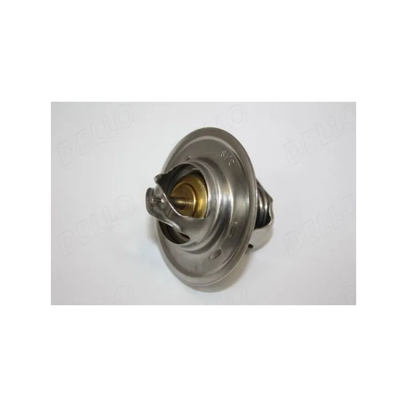 Thermostat d'eau AUTOMEGA 160047310