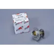 Thermostat d'eau AUTOMEGA 160047410 - Visuel 1
