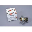Thermostat d'eau AUTOMEGA 160047510 - Visuel 1