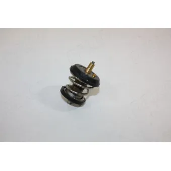 Thermostat d'eau AUTOMEGA 160047710