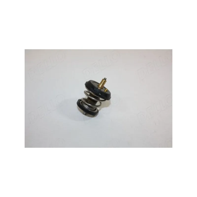 Thermostat d'eau AUTOMEGA 160047710