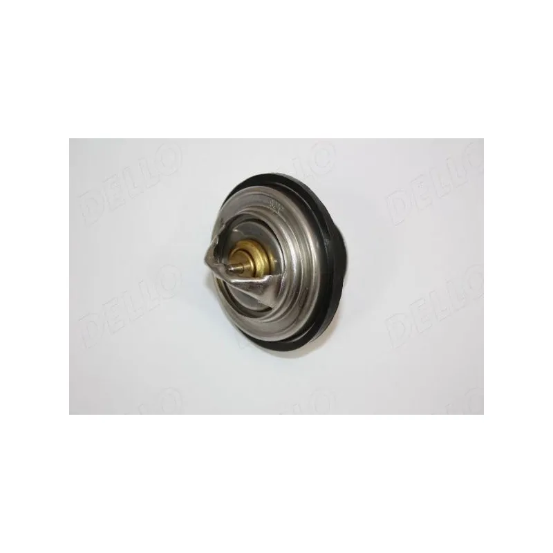 Thermostat d'eau AUTOMEGA 160047810