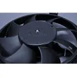 Ventilateur, refroidissement du moteur AUTOMEGA 160070110 - Visuel 3