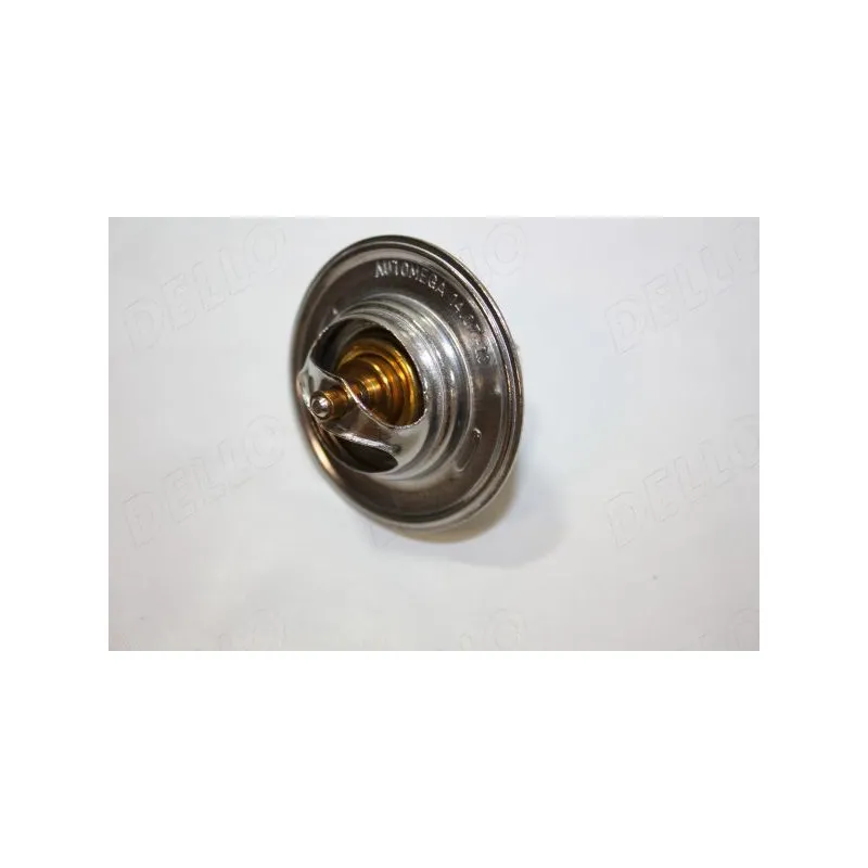 Thermostat d'eau AUTOMEGA 160072810