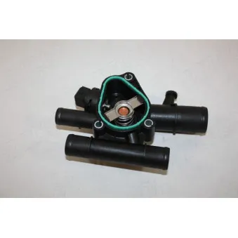 Thermostat d'eau AUTOMEGA 160076310