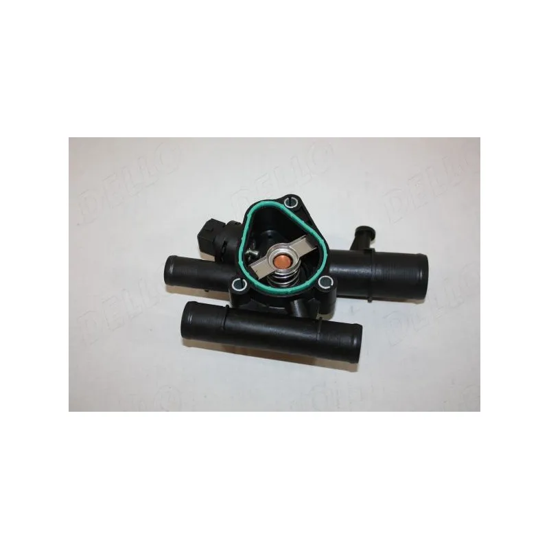 Thermostat d'eau AUTOMEGA 160076310