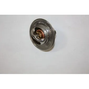 Thermostat d'eau AUTOMEGA 160078310