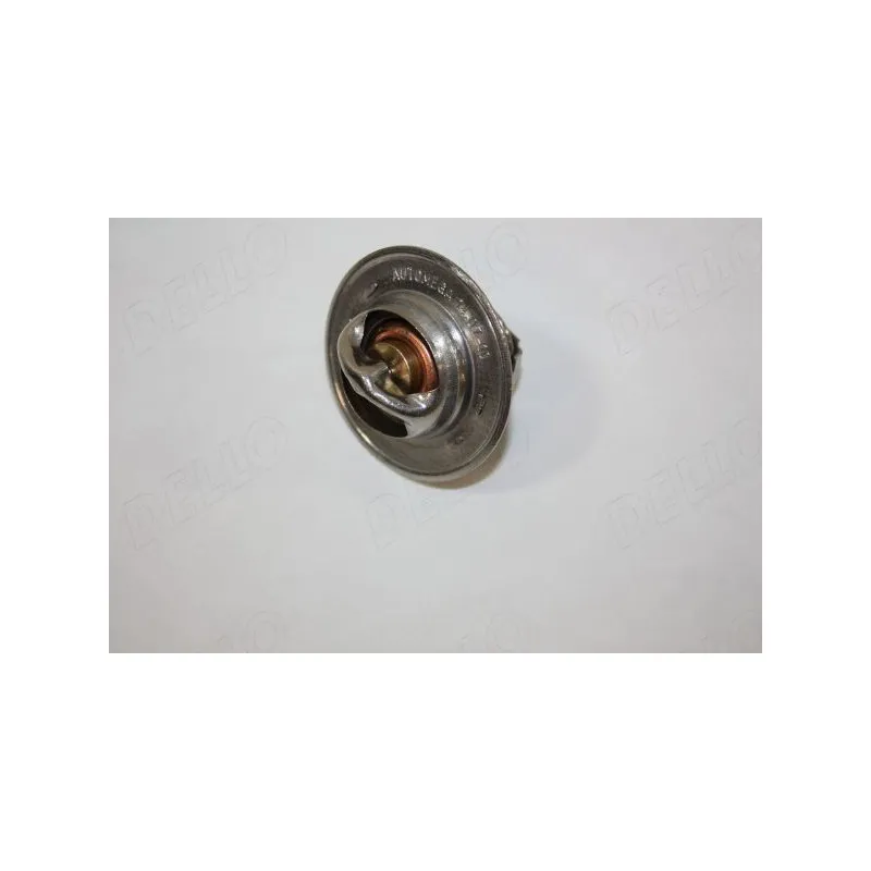 Thermostat d'eau AUTOMEGA 160078310