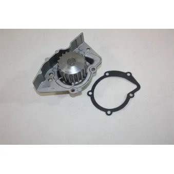 Pompe à eau AUTOMEGA 160079310
