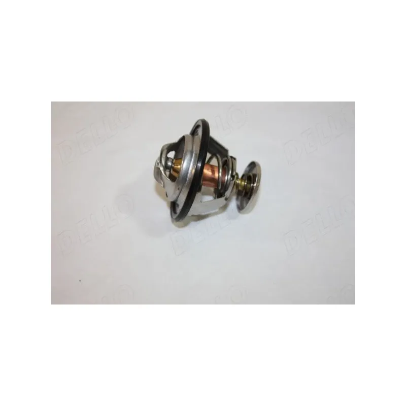 Thermostat d'eau AUTOMEGA 160080110