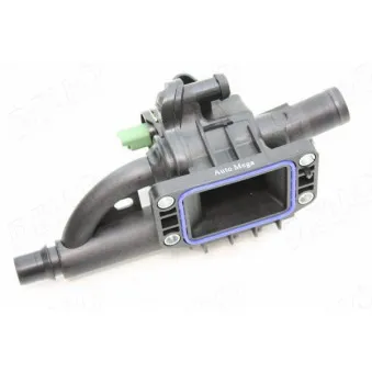 Thermostat d'eau AUTOMEGA 160084810