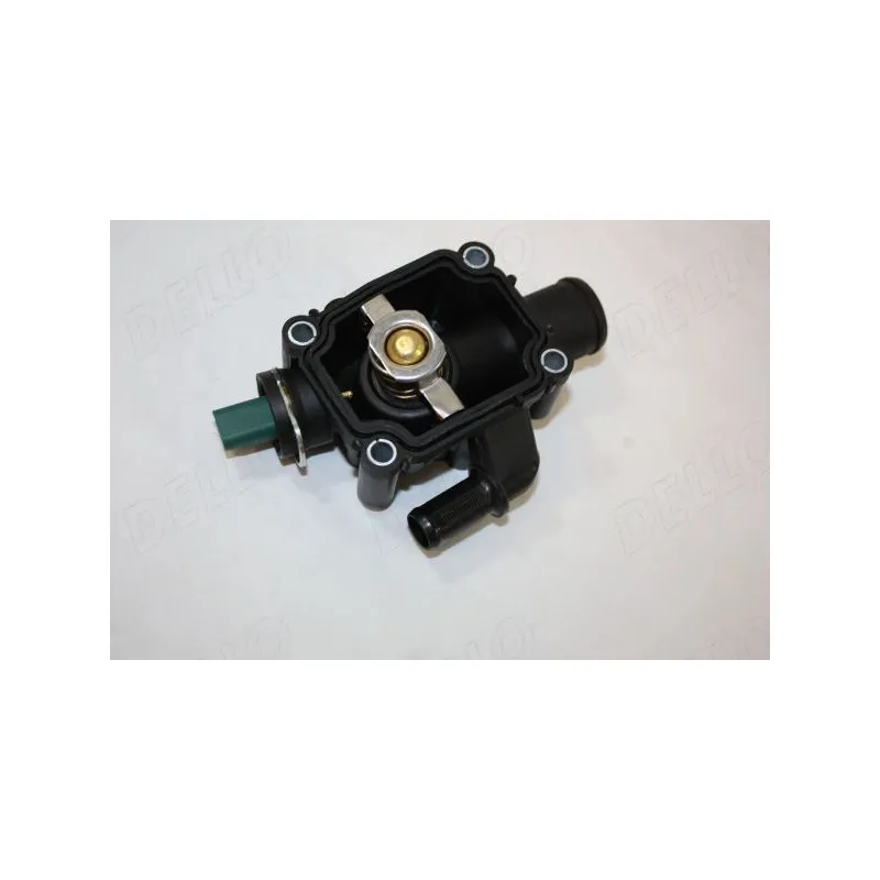 Thermostat d'eau AUTOMEGA 160086410